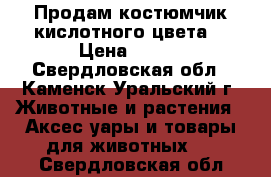 Продам костюмчик кислотного цвета. › Цена ­ 300 - Свердловская обл., Каменск-Уральский г. Животные и растения » Аксесcуары и товары для животных   . Свердловская обл.